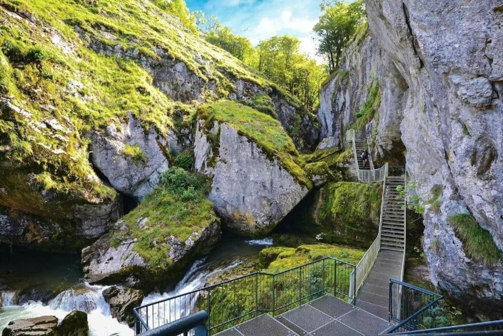 Studio Cosy Au Coeur Du Haut-Jura Foncine-le-Bas 外观 照片